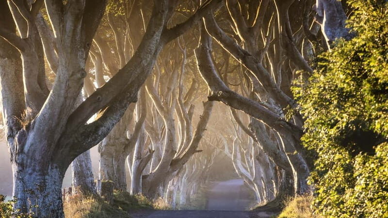 Belfast: Giant's Causeway Tour w/ Titanic Exhibit Admission - Discovering Northern Ireland: An In-Depth Review