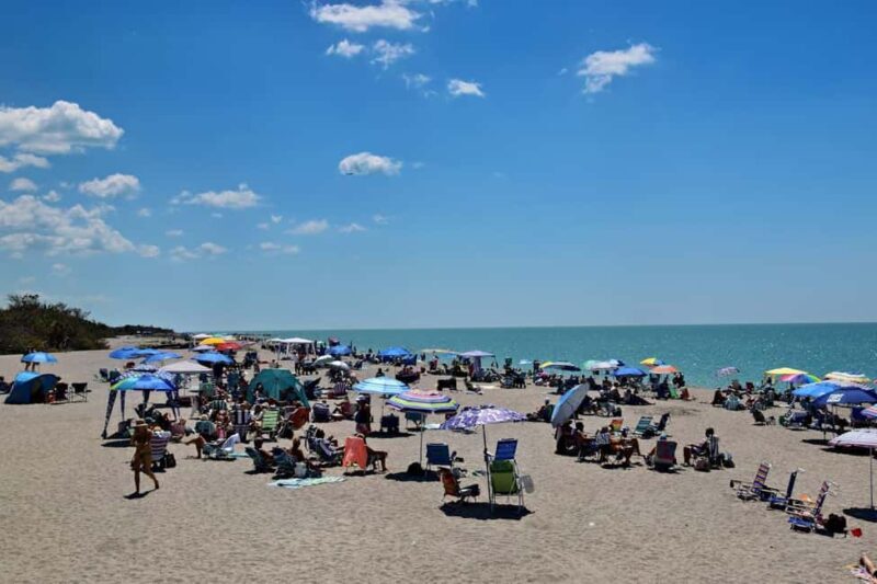 Belfast: Private Giant's Causeway Tour with Luxury Vehicle - Transportation & Service Quality