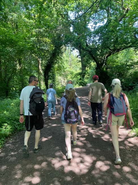 Belfast: Sir Thomas & Lady Dixon Park Walk & Alfresco Picnic - Good To Know