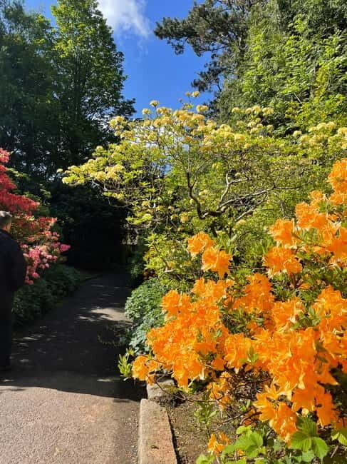 Belfast: Sir Thomas & Lady Dixon Park Walk & Alfresco Picnic - Whats Included & Whats Not