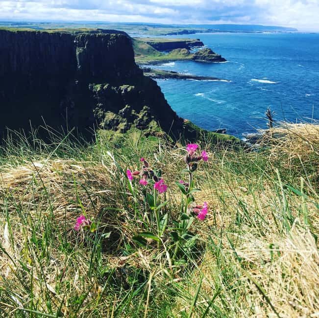 Belfast:Giant's Causeway private tour with accreditted guide - Who Would Love This Tour?  