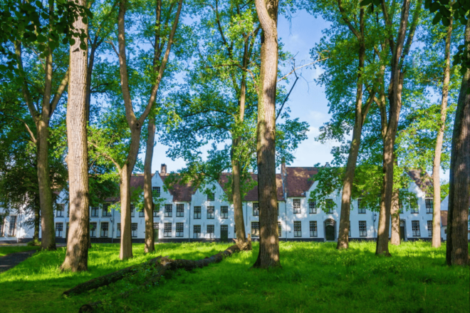 Belgium: Guided Tour of Bruges - Experience Features