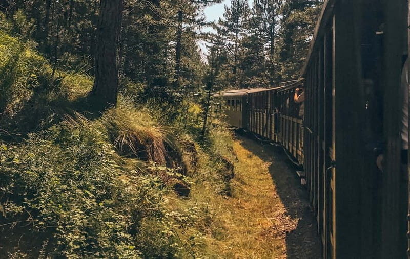 Belgrade: Best of West (Drina House, Drvengrad and Sargan 8) - An Overview of the Experience