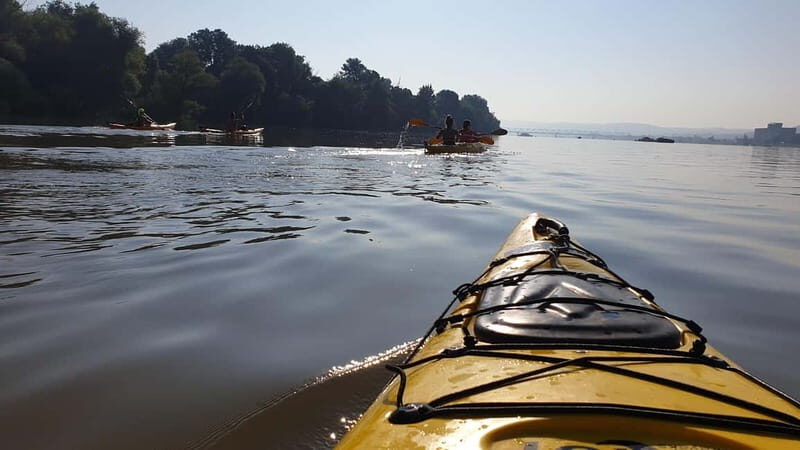 Belgrade: Great War Island Kayak Adventure - Final Thoughts: Who Will Love This Experience?