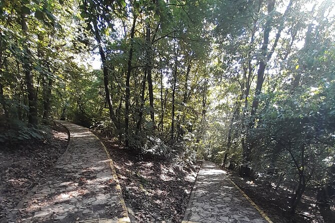 Belgrade Hiking Tour On Mountain Avala - Cancellation Policy