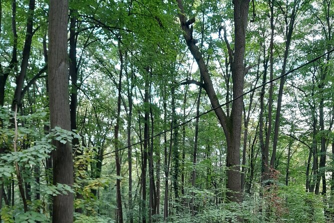 Belgrade Hiking Tour On Mountain Avala - Pricing Information