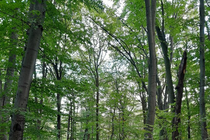 Belgrade Hiking Tour On Mountain Avala - Customer Reviews