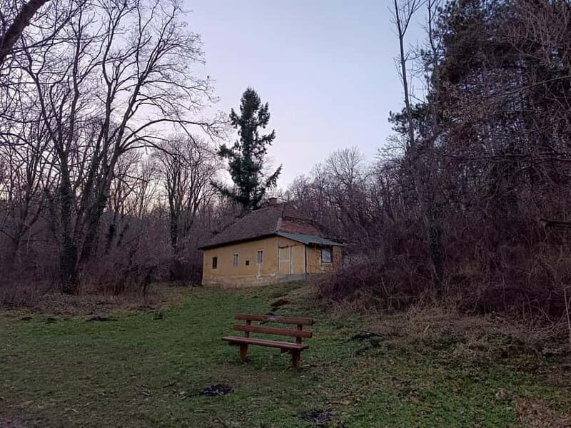 Belgrade: Kosutnjak forest hiking tour - Why You Should Consider the Kosutnjak Forest Hike