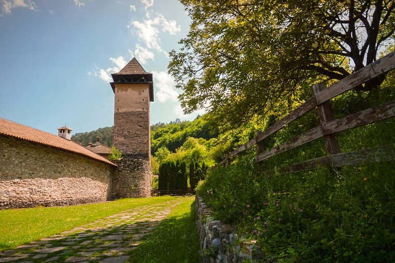 Belgrade: Studenica Monastery & Zica Monastery Full-Day Tour - Authentic Experience & Insights from Reviews