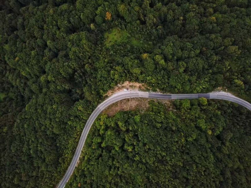 Belgrade: Studenica Monastery & Zica Monastery Full-Day Tour - Who Will Love This Tour?