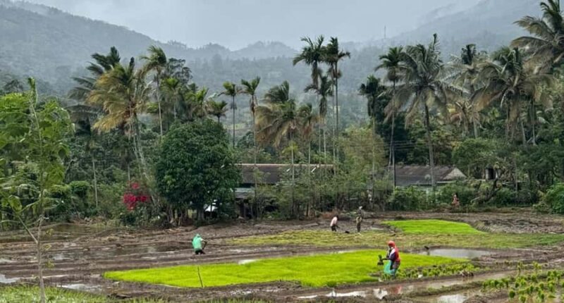 Belihuloya: Ihala Galagama Village Trail Guided Hike - Introduction to the Ihala Galagama Village Trail