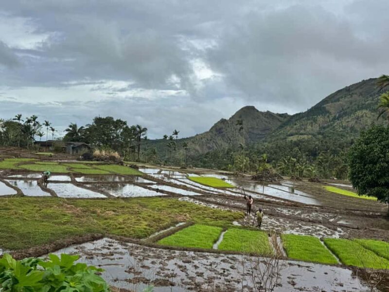Belihuloya: Ihala Galagama Village Trail Guided Hike - Cultural Encounters and Local Life