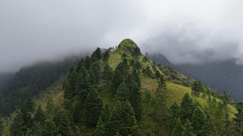 Belihuloya: Three Peaks Trail Guided Hike with Meals - An In-Depth Look at the Three Peaks Trail