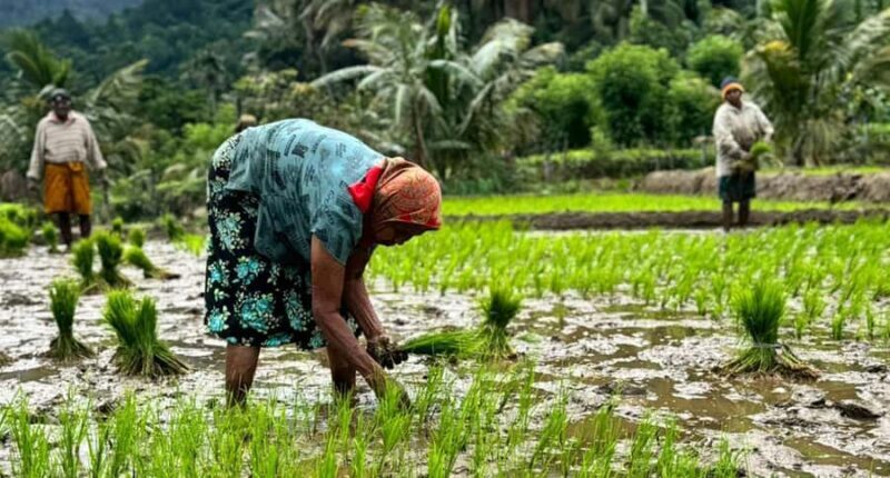 Belihuloya Trails Stage 1 : 3-Day Tour with Drop off at Ella - The Sum Up