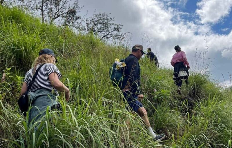 Belihuloya Trails Stage 3 & 4 : 4-Day Hiking Adventure - Practical Details and Logistics