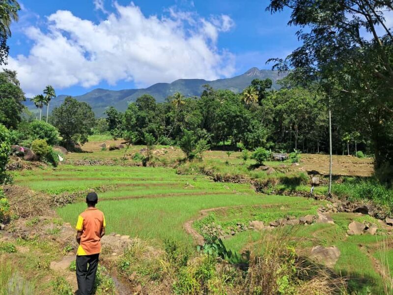 Belihuloya Village Tour with Lunch - Discovering the Charm of Ihala Galagama Village