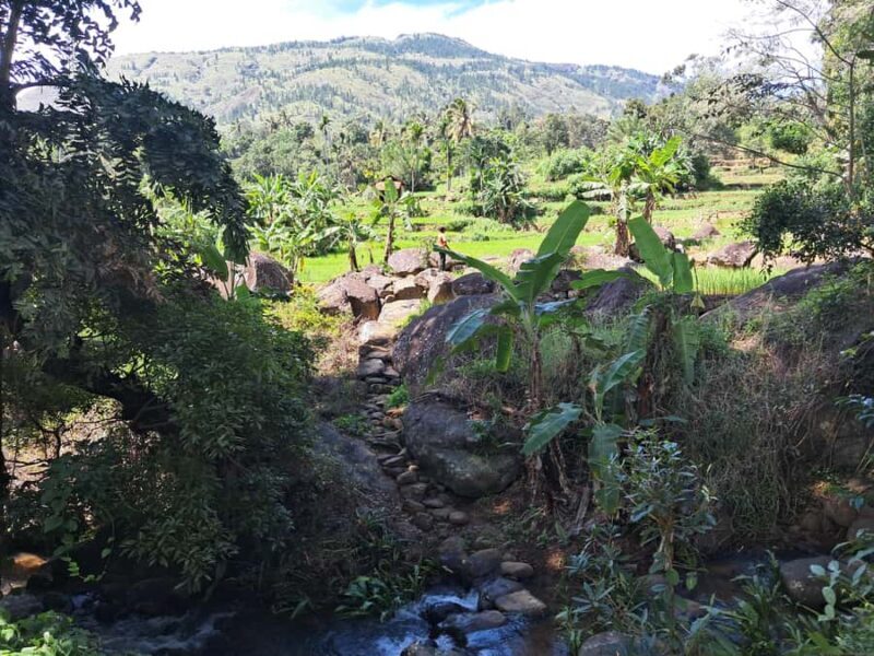 Belihuloya Village Tour with Lunch - Unpacking the Belihuloya Village Tour: What to Expect