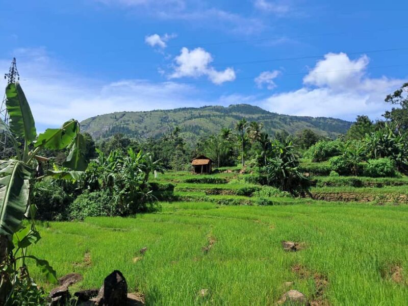 Belihuloya Village Tour with Lunch - The Experience in Detail: A Breakdown