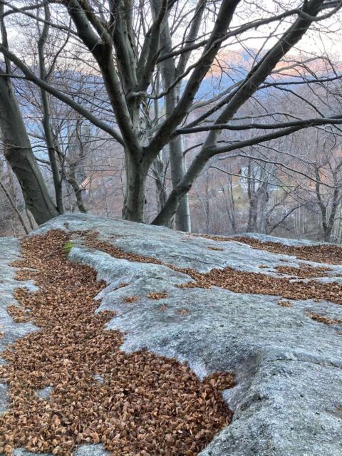 Bellagio: Easy Hike on the Mountains Above Lake Como - Good To Know