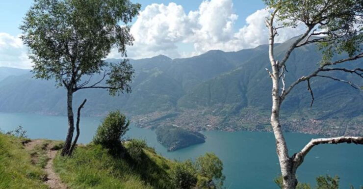 Bellagio: Easy Hike on the Mountains Above Lake Como - Booking Details