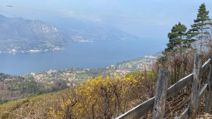 Bellagio: Exclusive Picnic at the Agrofarm With Scenic View - Good To Know