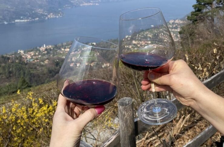 Bellagio: Exclusive Picnic at the Agrofarm With Scenic View - Experience Details