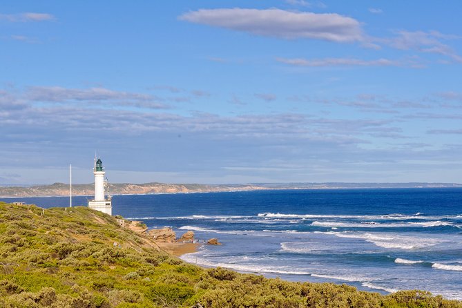Bellarine Peninsula Small Group Wine Tour With 2 Course Lunch - Itinerary
