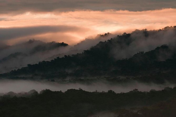 Bellavista Cloud Forest Reserve - Full Day - Good To Know