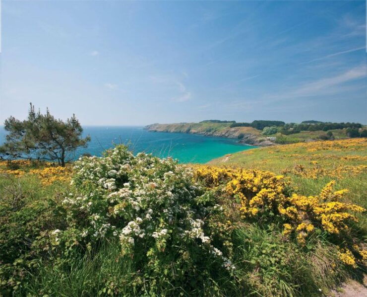 Belle-Île-en-Mer: Ferry Crossing to Le Palais - Experience Highlights