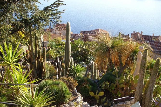 Bello: Italian Market, Eze, and Turbie Tour. - Pricing and Terms
