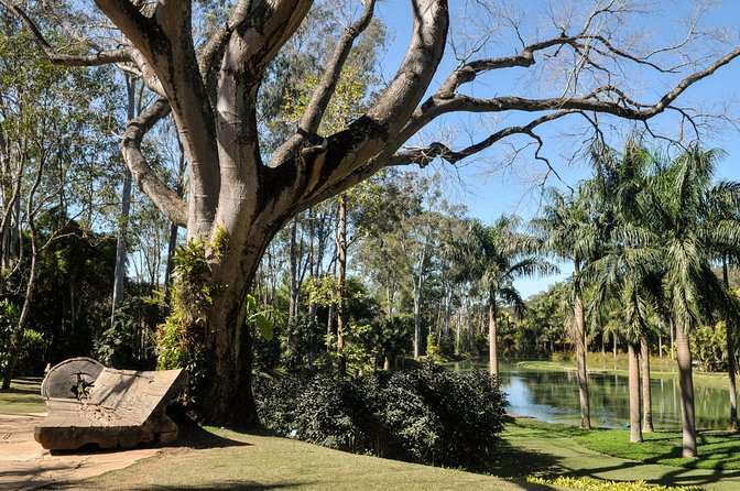 Belo Horizonte Full-Day Inhotim Tour - Tour Pricing and Booking Details