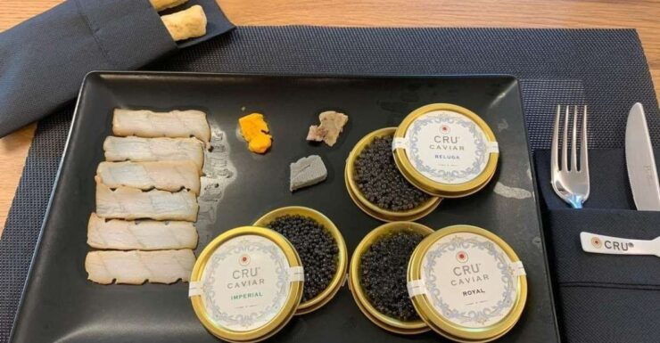 Beluga Caviar Tour - Experience