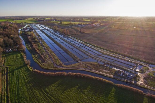 Beluga Caviar Tour - Inclusions