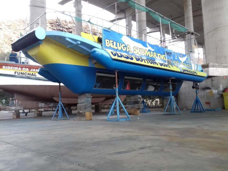 Beluga Submarine Glass-Bottom Boat Tour w/ Snorkeling Option - Good To Know  