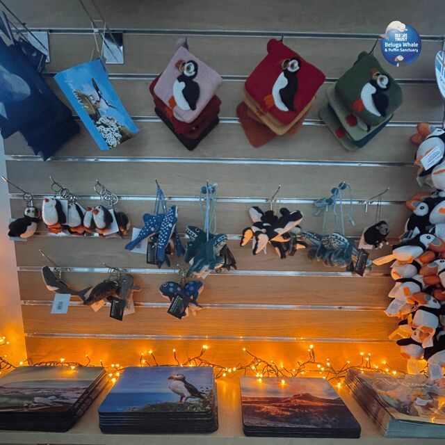 Beluga Whale Sanctuary - Admissions - Final Thoughts: Who Is This Tour Best For?