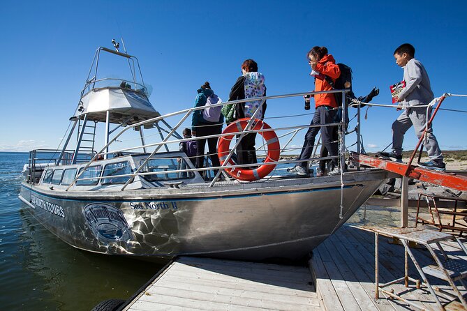 Belugas, Bears and Blooms in Churchill Manitoba - Exploring the Polar Bear Capital