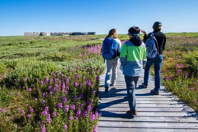 Belugas, Bears and Blooms in Churchill Manitoba - Accommodation Options in Churchill