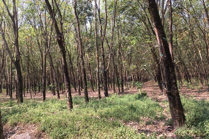 Ben Duoc - Authentic Cu Chi Tunnels Private Tour - Important Information