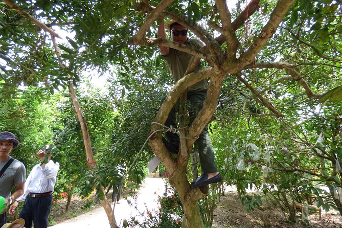 Ben Tre - Mekong Delta Day Tour - Meal and Refreshment Inclusions