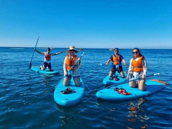 Benagil: Cave Paddle Board Tour - Contact Information