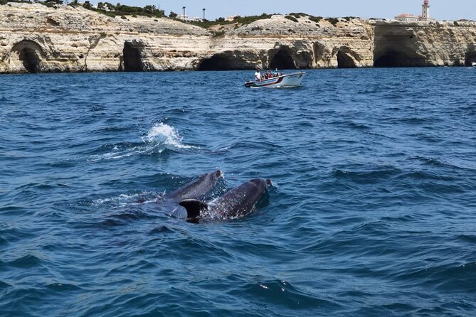 Benagil Caves Tour From Portimao - Meeting Point and Pickup