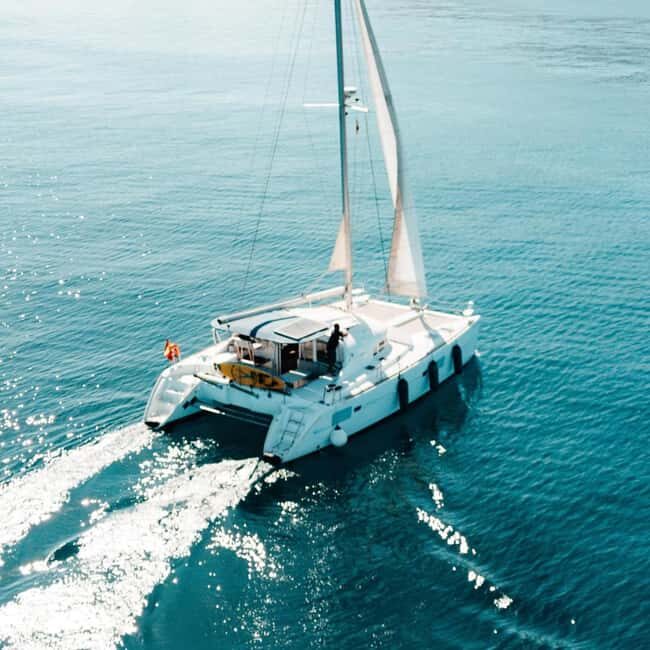 Benalmádena: Catamaran with dolphin watching and drinks - An Inside Look at the Experience