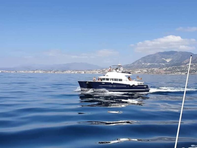 Benalmádena: Private Catamaran Charter for up to 12 People - Good To Know