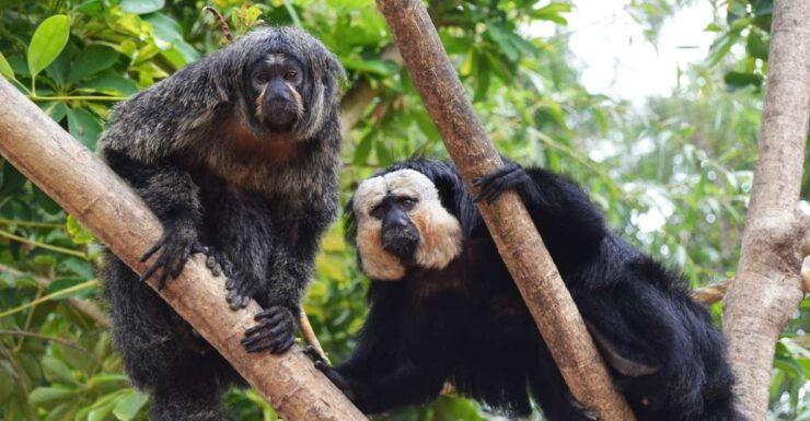 Benalmadena: Selwo Marina Admission Ticket - Ticket Details