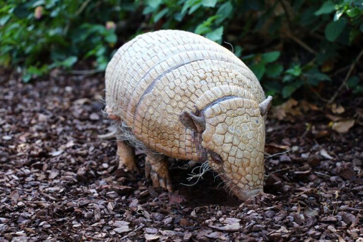 Benalmadena: Selwo Marina Admission Ticket - Experience