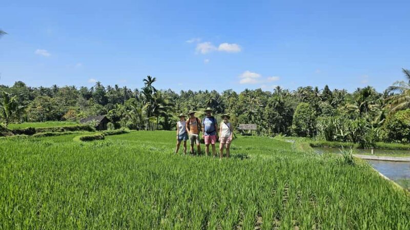 Benang Kelambu: Authentic Lombok Rice Field & Waterfall Tour - Frequently Asked Questions