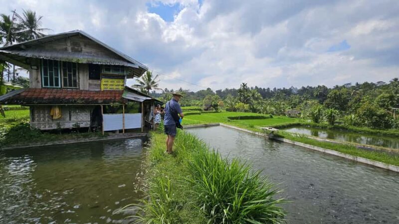Benang Kelambu: Authentic Lombok Rice Field & Waterfall Tour - Final Thoughts
