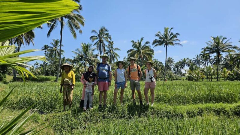 Benang Kelambu: Authentic Lombok Rice Field & Waterfall Tour - Good To Know