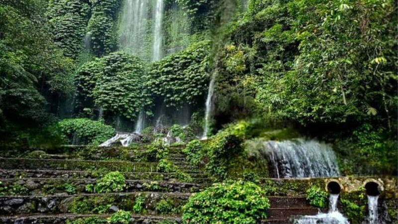 Benang Kelambu: Authentic Lombok Rice Field & Waterfall Tour - What Makes This Tour Worth It?