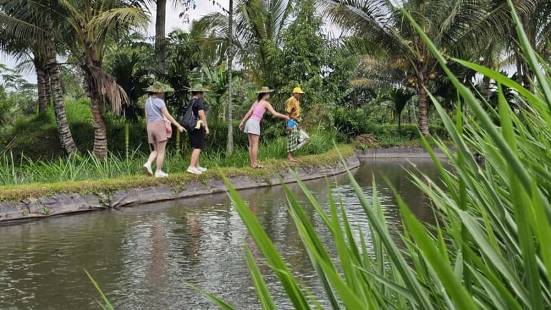 Benang Kelambu: Authentic Lombok Rice Field & Waterfall Tour - The Sum Up: Is This Tour Right for You?